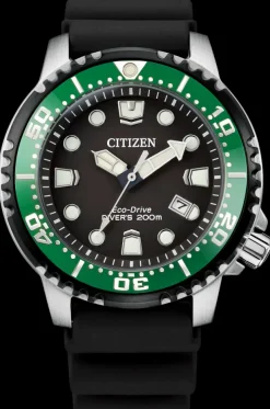 Citizen Eco-Drive Promaster Diver- Citizen
