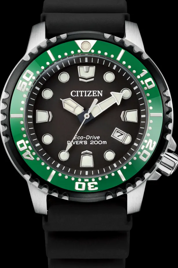 Citizen Eco-Drive Promaster Diver- Citizen