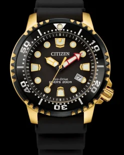 Citizen Eco-Drive Promaster Diver- Citizen
