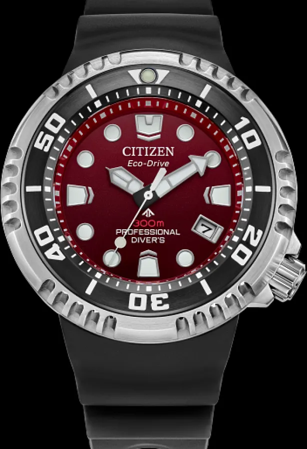 Citizen Eco-Drive Promaster E365- Citizen