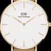 Daniel Wellington Petite Evergold 36MM-Women Daniel Wellington